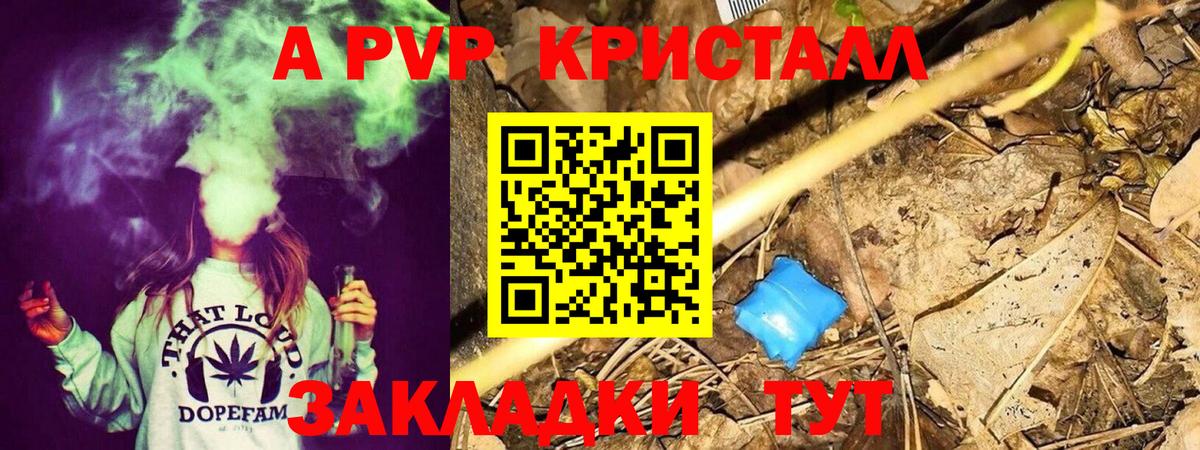 Новороссийск  А ПВП  Вход с VPN  А ПВП СК КРИС  А ПВП СК КРИС 