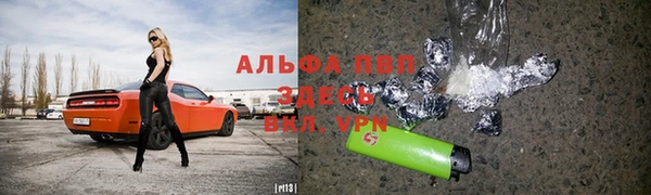дмт Алзамай