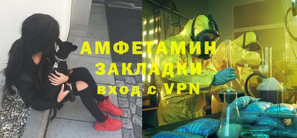 дмт Алзамай