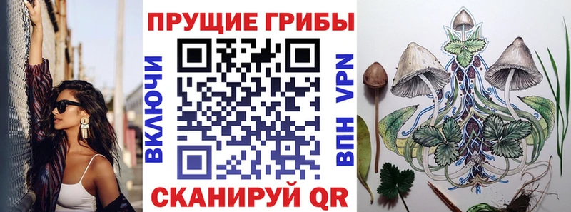 Псилоцибиновые грибы Magic Shrooms  купить наркоту  Новороссийск 