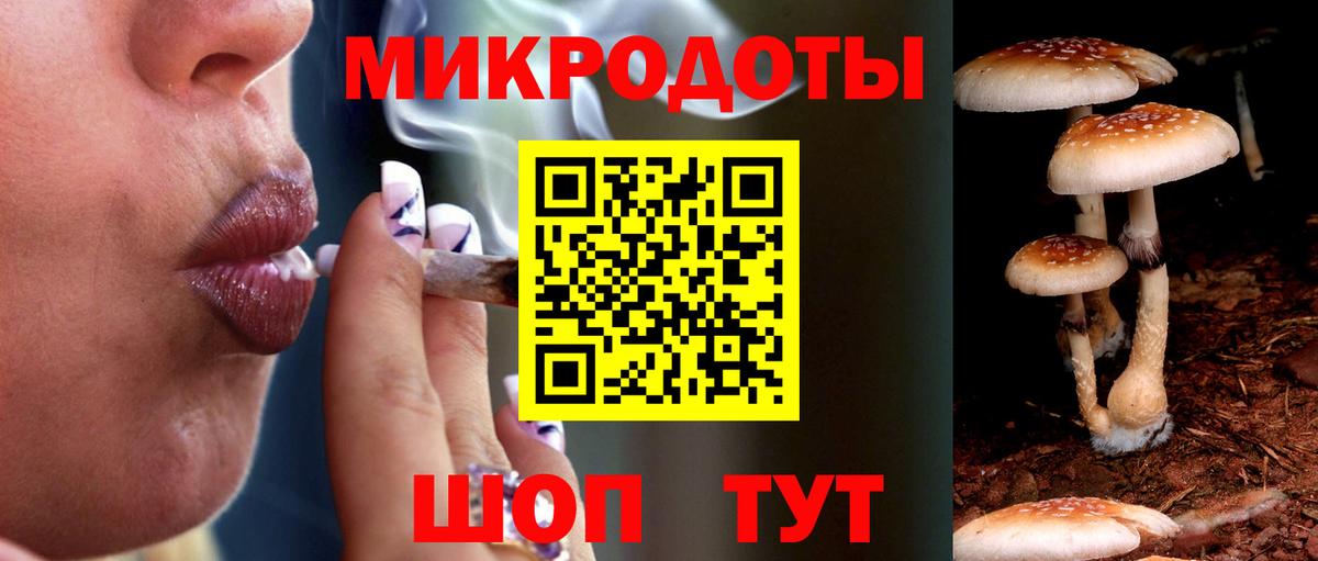 Галлюциногенные грибы Magic Shrooms  Псилоцибиновые грибы мицелий  Новороссийск  Вход с VPN 
