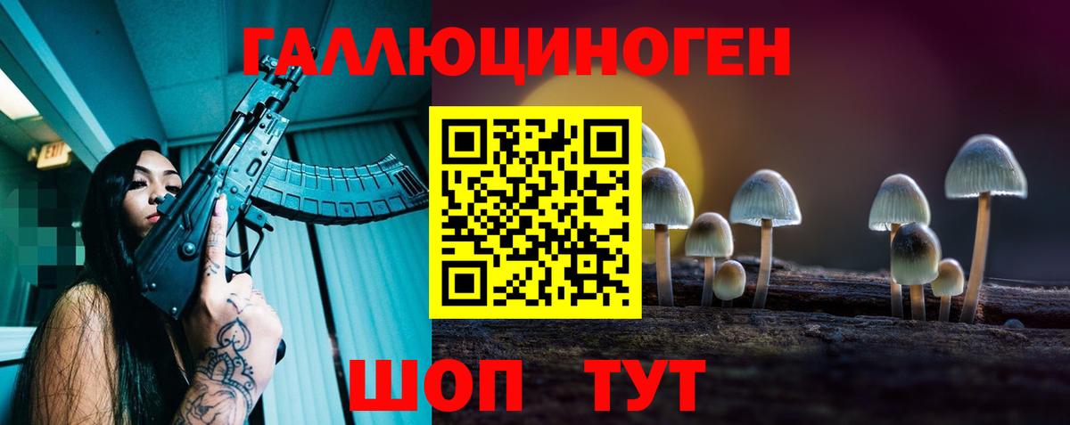 Псилоцибиновые грибы GOLDEN TEACHER Новороссийск