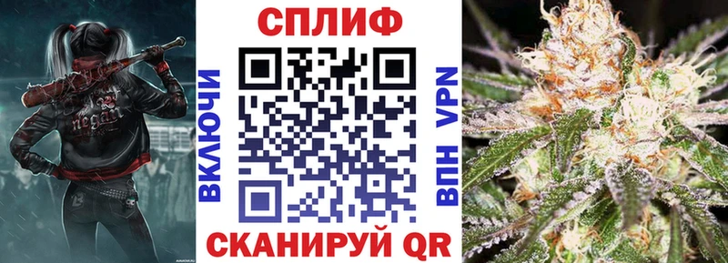 mega зеркало  Новороссийск  Каннабис Amnesia 